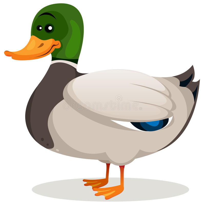 Detail Duck Images Cartoon Nomer 53