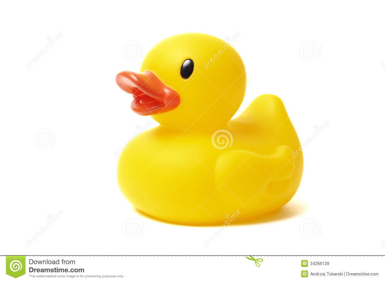 Detail Duck Images Free Nomer 20