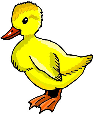 Detail Duck Images Free Nomer 30