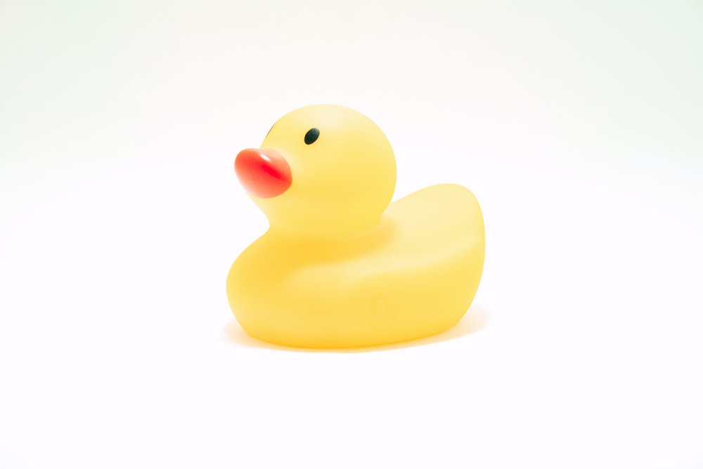 Detail Duck Images Hd Nomer 43