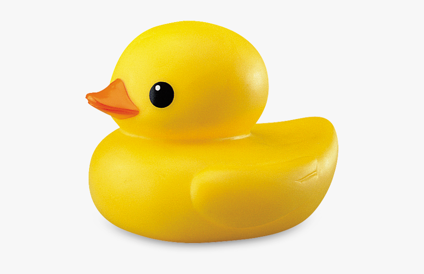 Detail Duck No Background Nomer 44