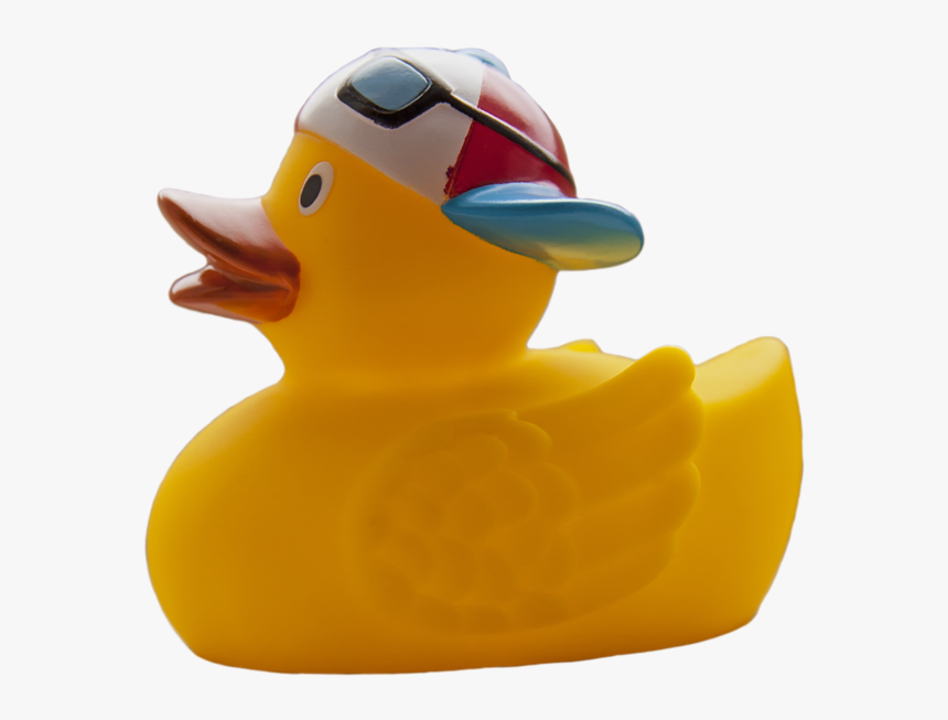 Detail Duck No Background Nomer 53