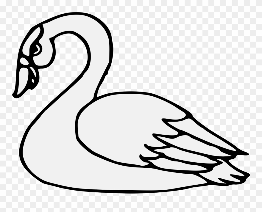 Duck Pdf - KibrisPDR
