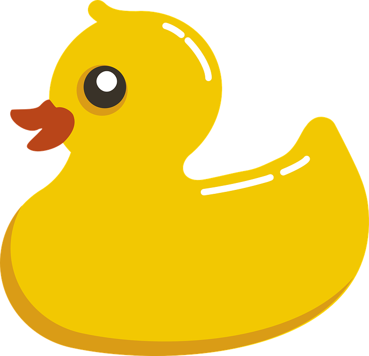 Detail Duck Pdf Nomer 9