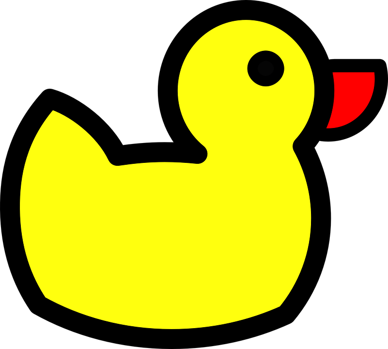 Detail Duck Pdf Nomer 6