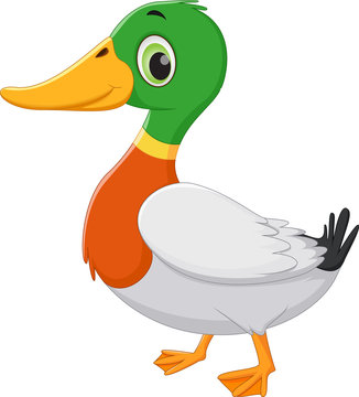 Detail Duck Pics Cartoon Nomer 9