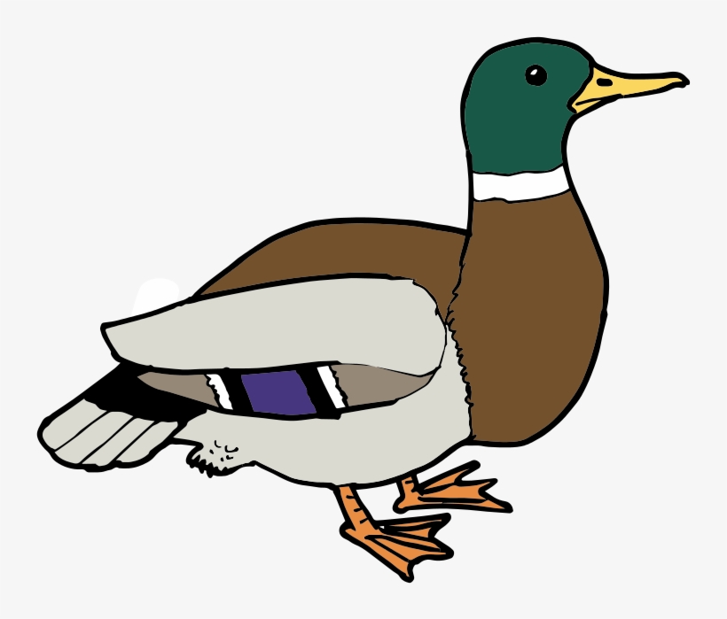 Detail Duck Png Clipart Nomer 14