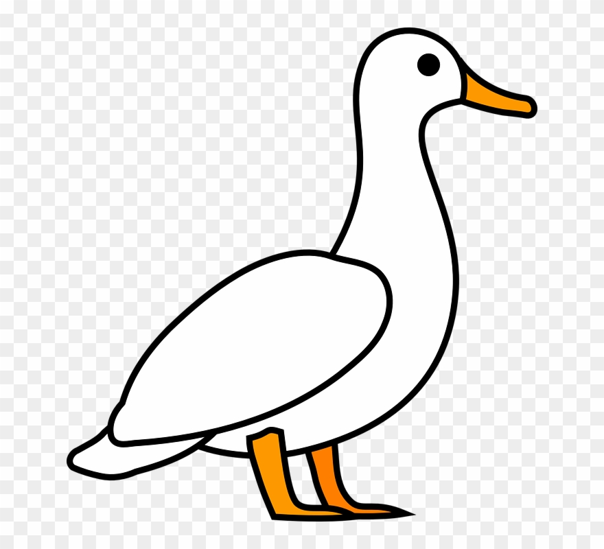 Detail Duck Png Clipart Nomer 21