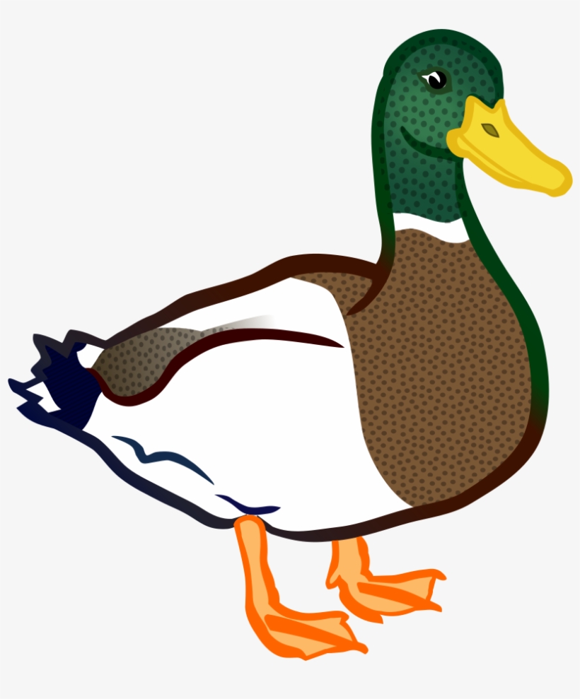 Detail Duck Png Clipart Nomer 3