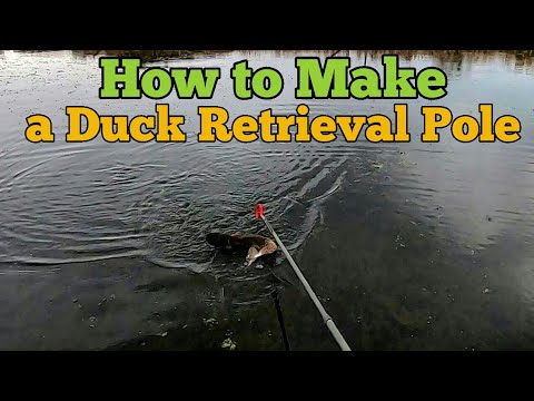 Detail Duck Retriever Pole Nomer 4