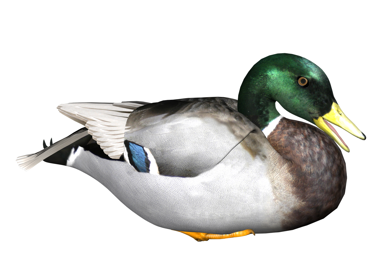 Detail Duck Transparent Nomer 18