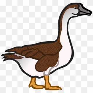 Detail Duck Transparent Nomer 51
