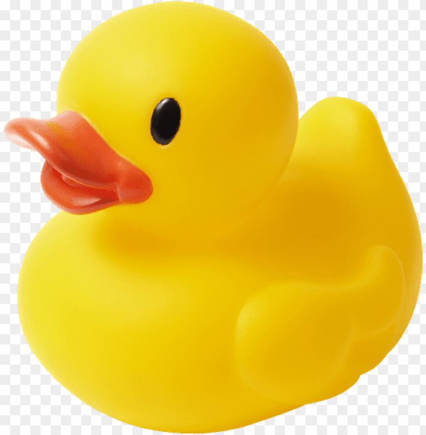 Detail Duck Transparent Background Nomer 18