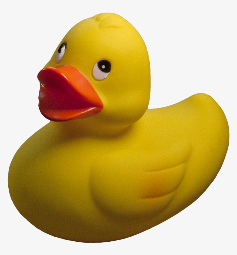 Detail Duck Transparent Background Nomer 21