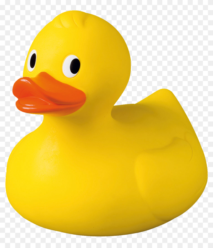 Detail Duck Transparent Background Nomer 27