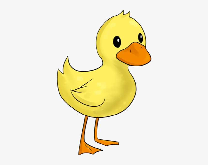 Detail Duck Transparent Background Nomer 28