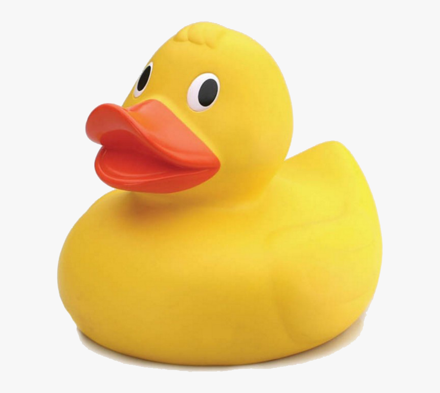 Detail Duck Transparent Background Nomer 41