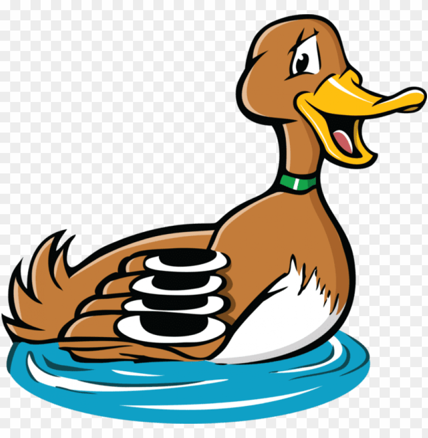 Detail Duck Transparent Background Nomer 44
