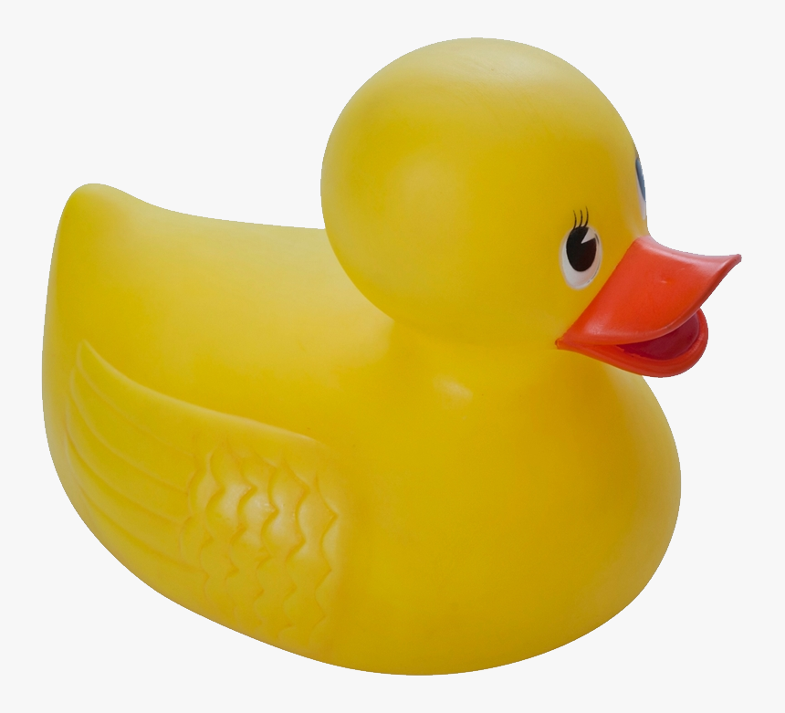 Detail Duck Transparent Background Nomer 49