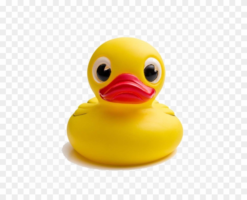 Detail Duck Transparent Background Nomer 50