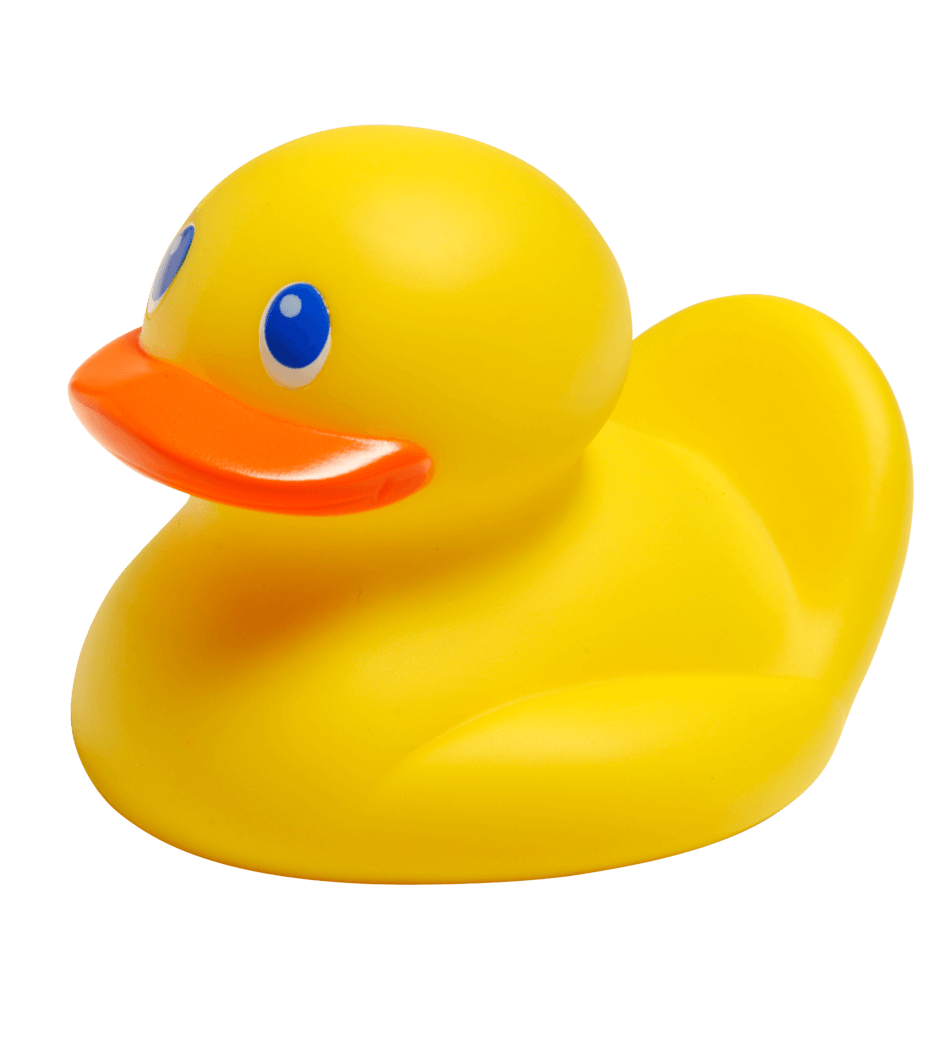 Detail Duck Transparent Background Nomer 52