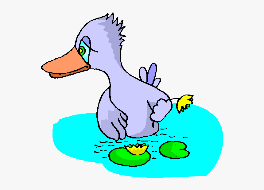 Detail Duckling Png Nomer 22