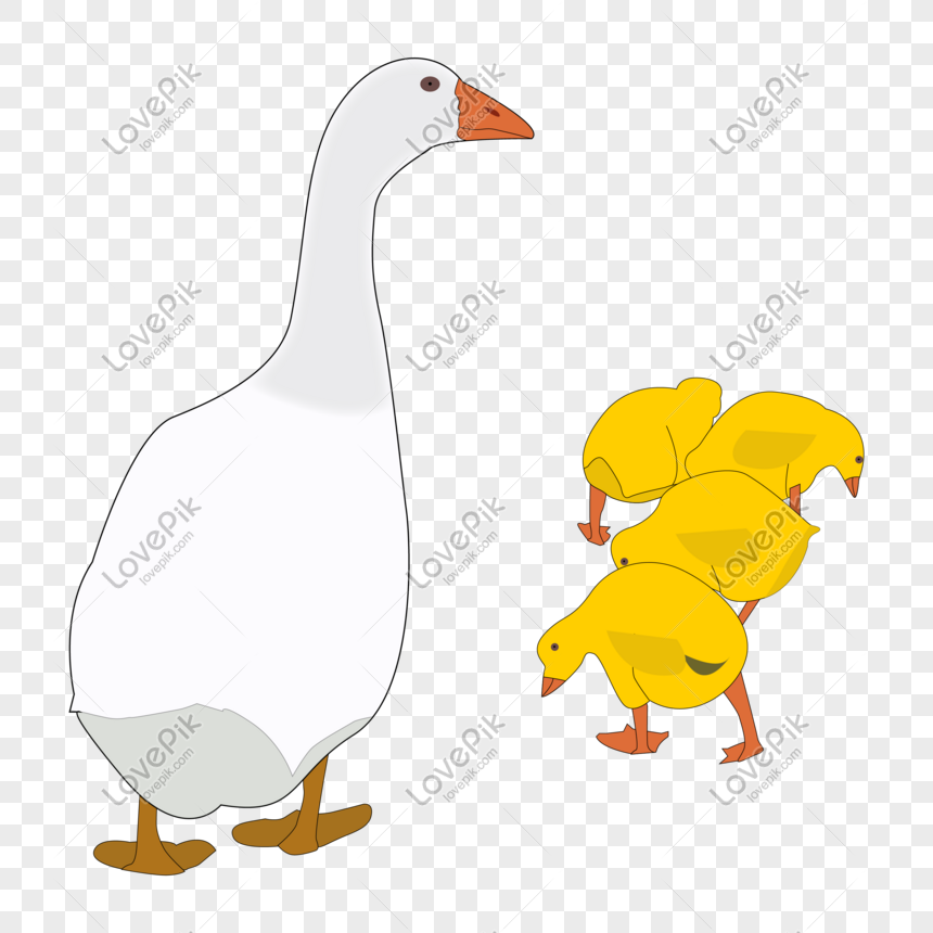 Detail Duckling Png Nomer 39