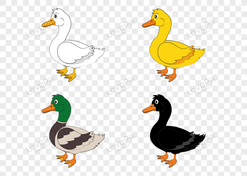 Detail Ducks Png Nomer 48