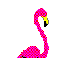 Detail Flamingo Gif Nomer 15