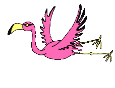 Detail Flamingo Gif Nomer 4
