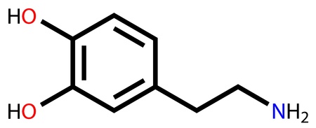 Detail Strukturformel Dopamin Nomer 2