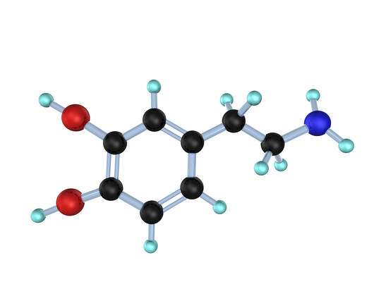 Detail Strukturformel Dopamin Nomer 7