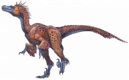 Detail Velociraptor Zeichnen Nomer 10