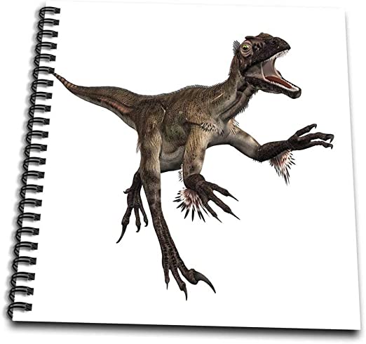 Detail Velociraptor Zeichnen Nomer 11