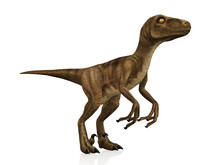 Detail Velociraptor Zeichnen Nomer 13