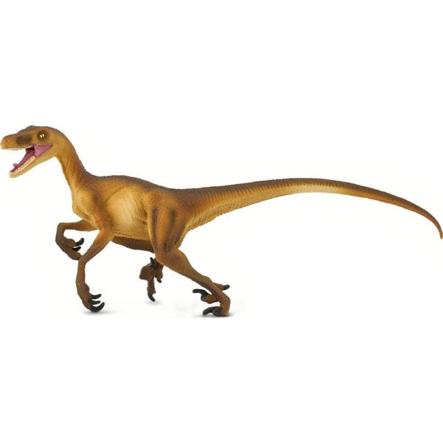 Detail Velociraptor Zeichnen Nomer 23