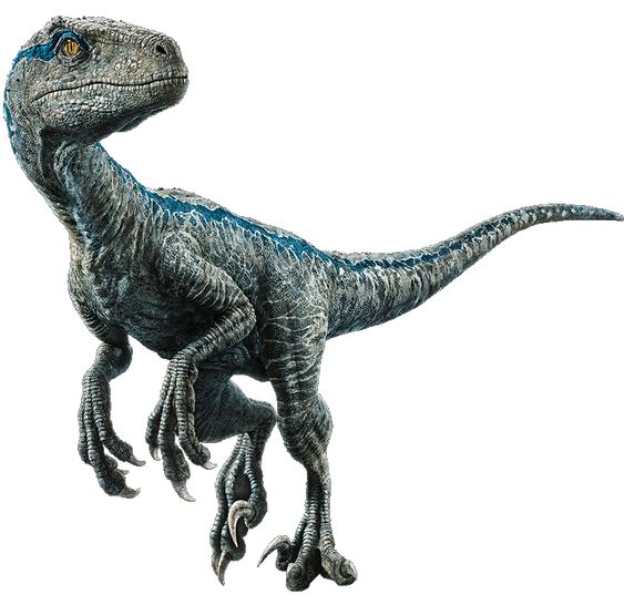 Detail Velociraptor Zeichnen Nomer 3
