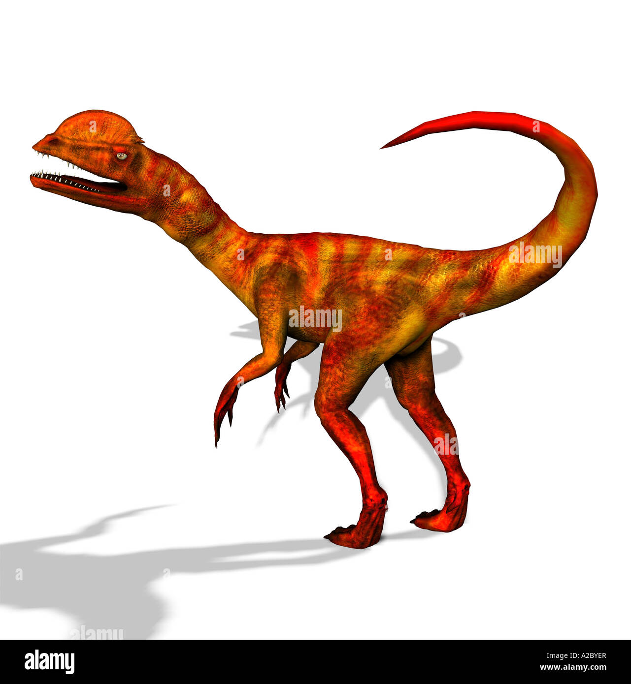 Detail Velociraptor Zeichnen Nomer 27