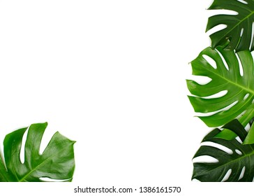 Detail Background Powerpoint Daun Nomer 10