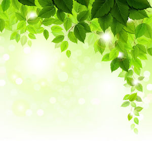 Detail Background Powerpoint Daun Nomer 13