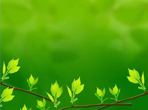 Detail Background Powerpoint Daun Nomer 21