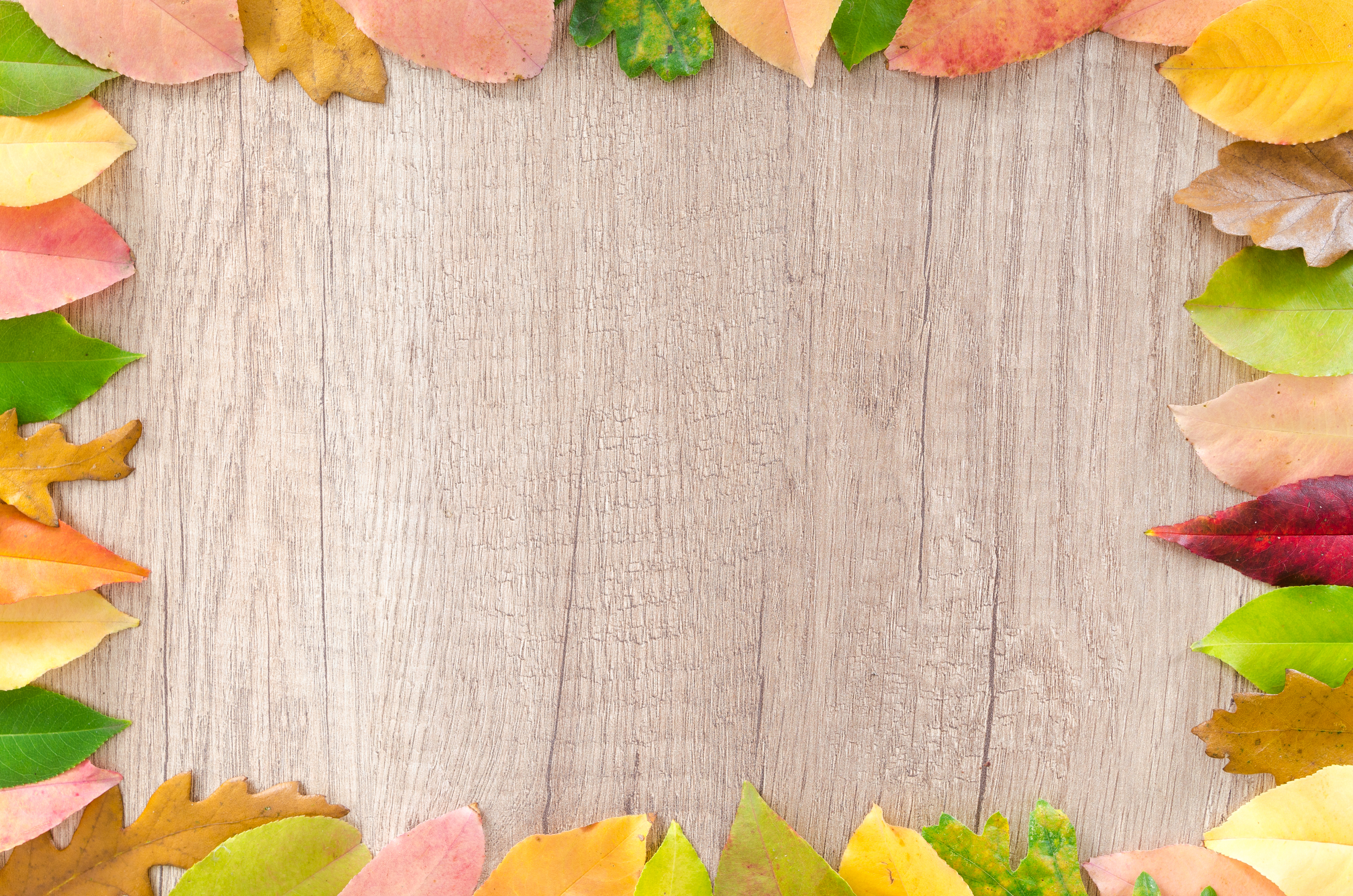 Detail Background Powerpoint Daun Nomer 29