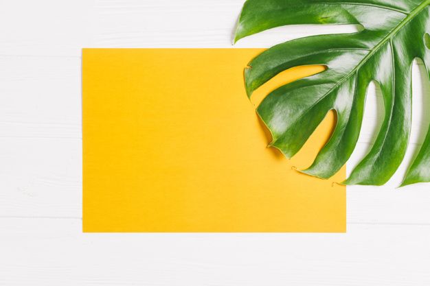 Detail Background Powerpoint Daun Nomer 32