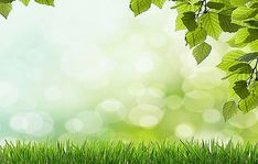 Detail Background Powerpoint Daun Nomer 5