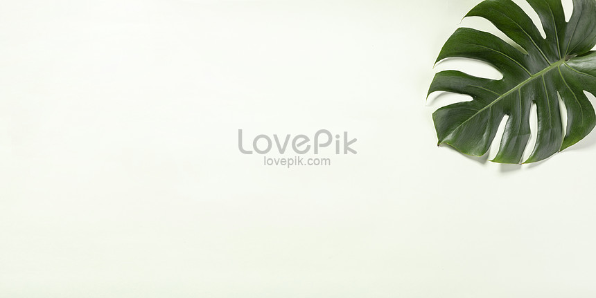 Detail Background Powerpoint Daun Nomer 40
