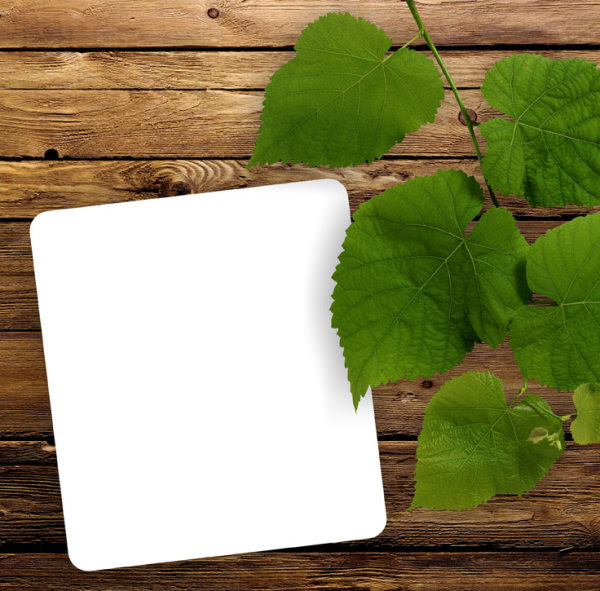 Detail Background Powerpoint Daun Nomer 47