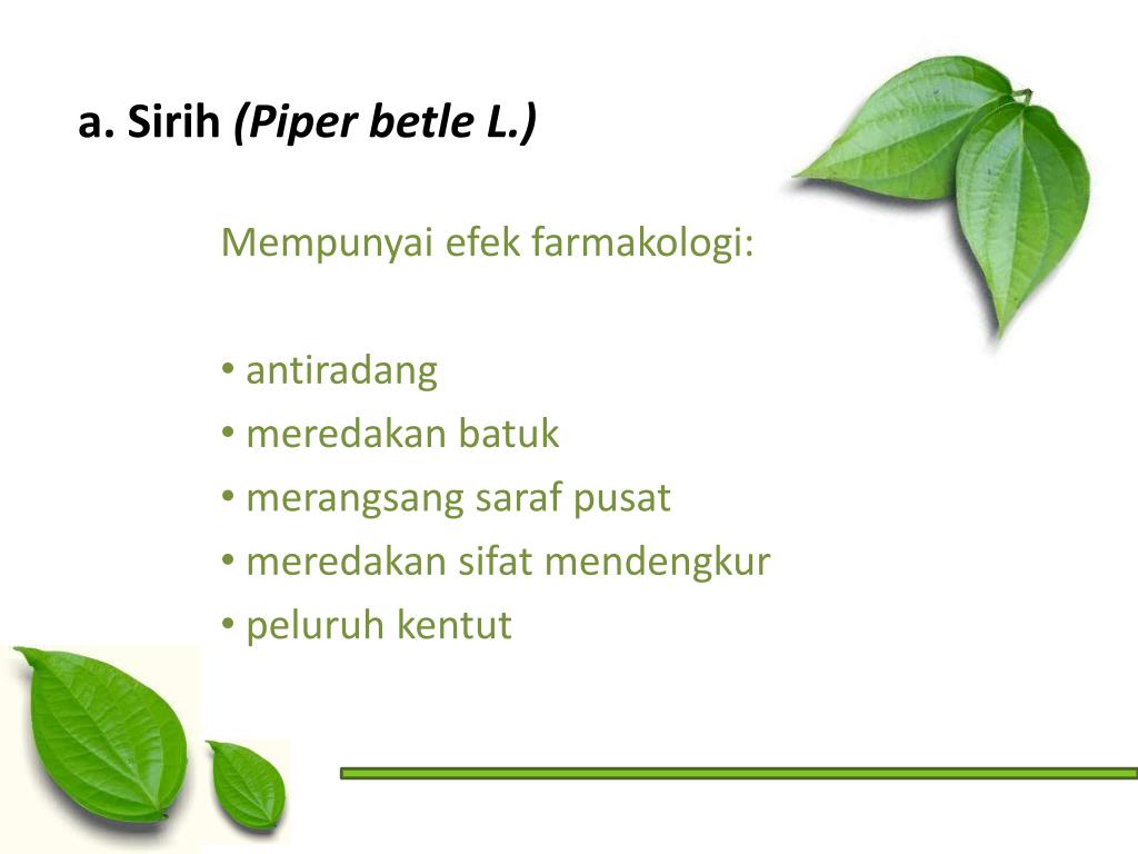 Detail Background Powerpoint Daun Nomer 49