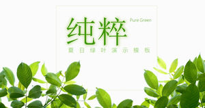 Detail Background Powerpoint Daun Nomer 51