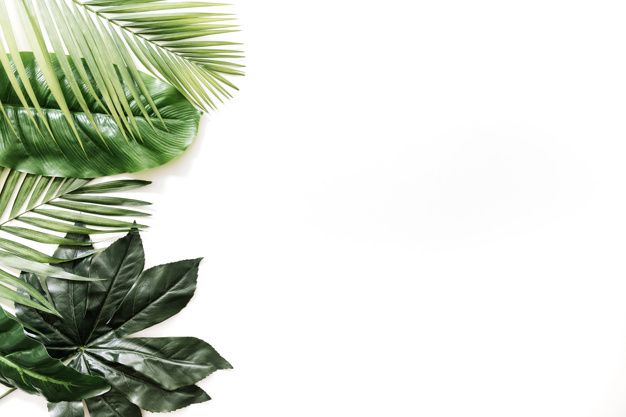 Detail Background Powerpoint Daun Nomer 7