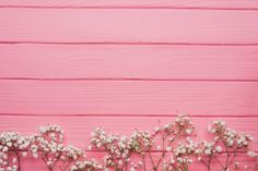 Detail Background Powerpoint Elegant Pink Nomer 38